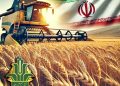 خرید تضمینی ۱۲ میلیون تن گندم با عاملیت بانک کشاورزی